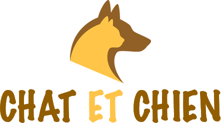 www.chat-et-chien.com